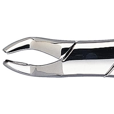 Patterson® Extracting Forceps #10S, Universal, Stainless Steel, 1/Pkg - Patterson® Extracting Forceps – # 10S, Universal - Patterson® Extracting Forceps – # 10S, Universal - Image 1