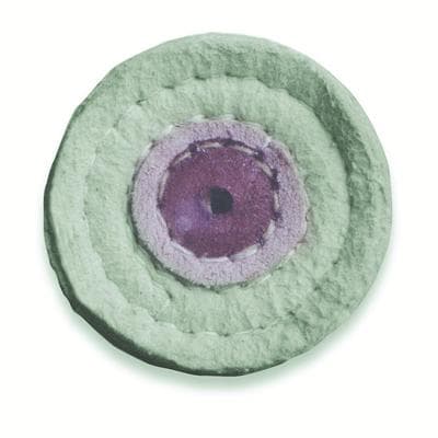 Buffalo Dental Chamois Buff with Leather Center, 3" Diameter, 10 Ply, 07630 thumbnail 5