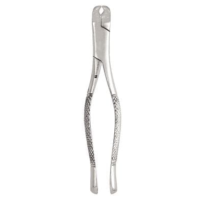 J&J Instruments Extracting Forceps #5, Universal, Lower Third Molar, Stainless Steel, 1/Pkg thumbnail 3