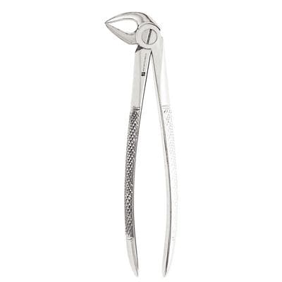 J&J Instruments #33 English Pattern Lower Root Extracting Forceps, Stainless Steel, 1 Each, 05-330 thumbnail 6