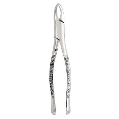 J&J Instruments #101 Universal Extracting Forceps, Stainless Steel, 1/Pkg, 06-101 thumbnail 4