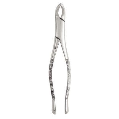 J&J Instruments #203 Universal Extracting Forceps, Stainless Steel, 1/Pkg thumbnail 3