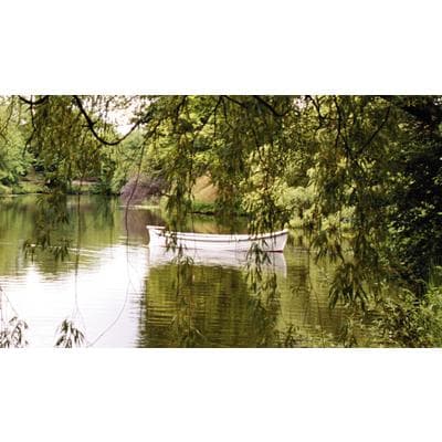 Business/Appointment Cards, Full-Color Front Design with Personalized Back, 3-1/2" W x 2" H, 500/Pkg - Boat in Water - Business/Appointment Cards, Full-Color Front Design with Personalized Business, Appointment or Referral Card on Back, 3-1/2" W x 2" H, 500/Pkg - Boat in Water - Image 1