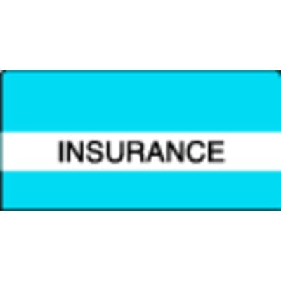 Patterson Office Supplies Index Tab, 1-1/2" W x 1-1/2" H, 102/Pkg - Insurance, Light Blue Stripes - Index Tab, 1-1/2" W x 1-1/2" H, 102/Pkg - Insurance, Light Blue Stripes - Image 1