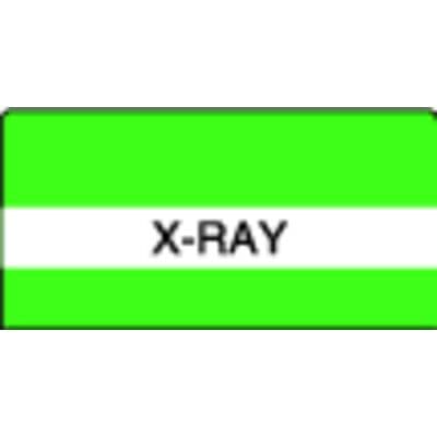Patterson Office Supplies Index Tab, 1-1/2" W x 1-1/2" H, 102/Pkg - X-ray, Light Green Stripes - Index Tab, 1-1/2" W x 1-1/2" H, 102/Pkg - X-ray, Light Green Stripes - Image 1
