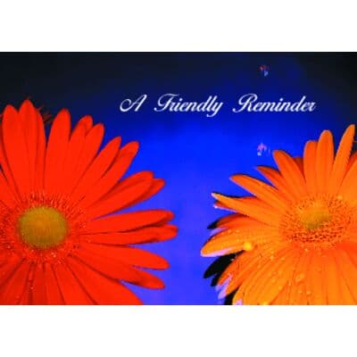 Floral Personalized Postcards, A Friendly Reminder Daisies, 6" W x 4-1/4" H, 100/Pkg - Floral Personalized Postcards, 100/Pkg - A Friendly Reminder Daisies, 6" W x 4-1/4" H - Image 1