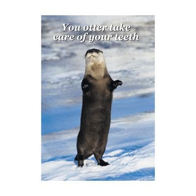Assortment Pack Personalized Postcards, 4-1/4" W x 6" H, 1,000/Pkg - Wildlife Assortment - Assortment Pack Personalized Postcards, 4-1/4" W x 6" H, 1,000/Pkg - Wildlife Assortment - Image 1