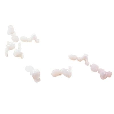 DirectCrown® Pediatric Anterior Refill Pack, Small Upper and Lower Incisor, 8 Shells/Pack thumbnail 2
