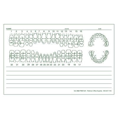 Patterson Office Supplies Examination Forms, 5-1/2" W x 3-1/2" H, 100 Sheets/Pad, 5 Pads/Pkg, Green Design, White - Examination Forms, 5-1/2" W x 3-1/2" H, 100 Sheets/Pad; 5 Pads/Pkg - Form - Image 1