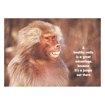 Animal (Cross Market) Personalized Postcards, A Healthy Smile Monkey, 6" W x 4-1/4" H, 100/Pkg - Animal (Cross Market) Personalized Postcards, 100/Pkg - A Healthy Smile Monkey, 6" W x 4-1/4" H - Image 1
