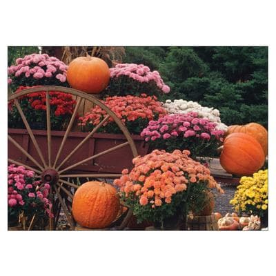 Fall Personalized Postcards, Wagon With Pumpkins, 6" W x 4-1/4" H, 100/Pkg - Fall Personalized Postcards, 100/Pkg - Wagon With Pumpkins, 6" W x 4-1/4" H - Image 1