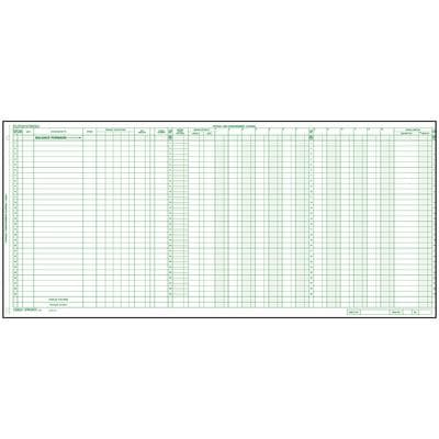 Safeguard Compatible Compact Dual Purpose Journal Sheets, 24-1/8" W x 11" H, 15/Pkg - Safeguard Compatible Compact Dual Purpose Journal Sheets, 24-1/8" W x 11" H, 15/Pkg - Journal - Image 1