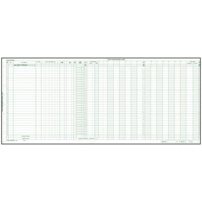 Safeguard Compatible General Disbursement Journal Sheets, 25-3/8" W x 11" H, 15/Pkg - Safeguard Compatible General Disbursement Journal Sheets, 25-3/8" W x 11" H, 15/Pkg - Journal - Image 1