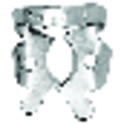 Kulzer Ivory Rubber Dam Clamp #11, Winged, Stainless Steel, Regular Molar, 50057342 thumbnail 10