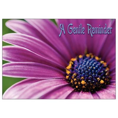 Floral 4-Up Laser Postcards, Purple Osteospermum, 5-1/2" W x 4-1/4" H, 100/Pkg - Floral 4-Up Laser Postcards, 100/Pkg - Purple Osteospermum, 5-1/2" W x 4-1/4" H - Image 1
