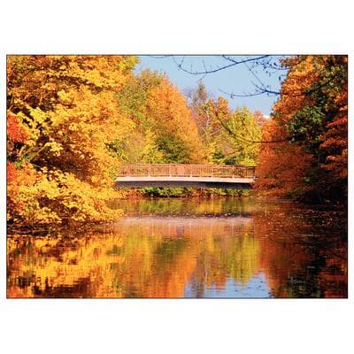Fall 4-Up Laser Postcards, Autumn Bridge, 5-1/2" W x 4-1/4" H, 100/Pkg - Fall 4-Up Laser Postcards, 100/Pkg - Autumn Bridge, 5-1/2" W x 4-1/4" H - Image 1