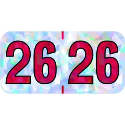 2026 Holographic Aging Labels, 1-1/2" W x 3/4" H, Silver, 500/Roll - 2026 Holographic Aging Labels – 1 1/2" W x 3/4" H - Silver - Image 1