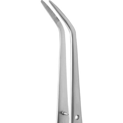 TBS BASICS College Tissue Pliers with Lock, 6" thumbnail 2