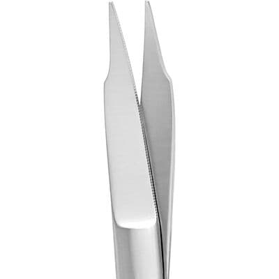 TBS BASICS Goldman-Fox Surgical Scissors, Curved, Serrated, Stainless Steel, 1/Pkg thumbnail 2