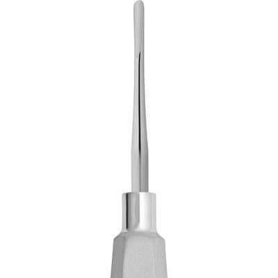 TBS BASICS Root Elevator, 4 mm, Straight, Single End, Diamond-Dusted Handle thumbnail 2