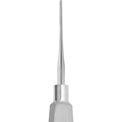 TBS BASICS Root Elevator, 2 mm, Straight, Single End, Diamond-Dusted Handle thumbnail 2