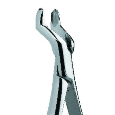 Premier Dental Products #53L Maxillary Extracting Forceps, Left, Adult, Stainless Steel, 1/Pkg, 9065015 thumbnail 8
