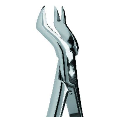 Premier Dental Products Extracting Forceps #88R, Right, Maxillary, Stainless Steel, 1st and 2nd Molars, Each, 9065025 thumbnail 7