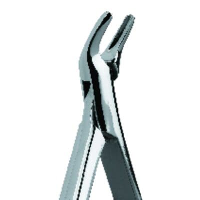 Premier Dental Products Extracting Forceps #101 Maxillary, Stainless Steel, Adult, for Upper Premolars, Each thumbnail 7