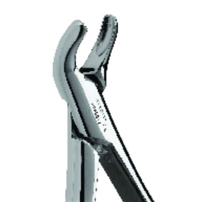 Premier Dental Products Extracting Forceps #24, Maxillary, Stainless Steel, 1/Pkg thumbnail 2