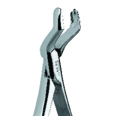 Premier Dental Products Extracting Forceps #53R, Right, Maxillary, Stainless Steel, Each, 9065016 thumbnail 8