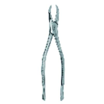 Premier Dental Products Extracting Forceps #53R, Right, Maxillary, Stainless Steel, Each, 9065016 thumbnail 7