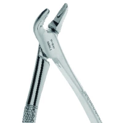 Premier Dental #151 Mandibular Universal Extraction Forceps, Smooth, Stainless Steel, 1/Pk, 9065031 thumbnail 10