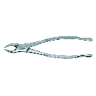Premier Dental #151 Mandibular Universal Extraction Forceps, Smooth, Stainless Steel, 1/Pk, 9065031 thumbnail 9