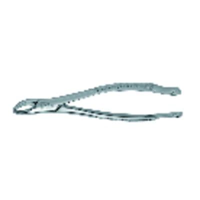Premier Dental Products Extracting Forceps #151S, Mandibular, Stainless Steel, Adult, 6", 9065035 thumbnail 7