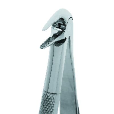 Premier Dental Products Lower Root Grip Extracting Forceps, Mandibular, Stainless Steel, Large Adult, LRG thumbnail 8