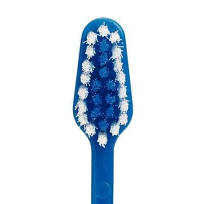 Patterson® Junior Toothbrush, Assorted Colors, Extra Soft Nylon Bristles, 72/Pkg thumbnail 3