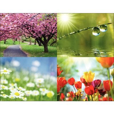 Seasonal Scenes 4-Up Laser Postcard Assortment Pack, Spring Scenes, 5-1/2" W x 4-1/4" H, 100/Pkg - Seasonal Scenes 4-Up Laser Postcard Assortment Packs, 100/Pkg - Spring Scenes, 5-1/2" W x 4-1/4" H - Image 1