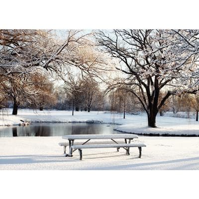 Winter 4-Up Laser Postcard, Winter Table Design, 5-1/2" W x 4-1/4" H, Full Color, 100/Pkg - Winter 4-Up Laser Postcard, 100/Pkg - Winter Table, 5-1/2 W x 4-1/4 H - Image 1
