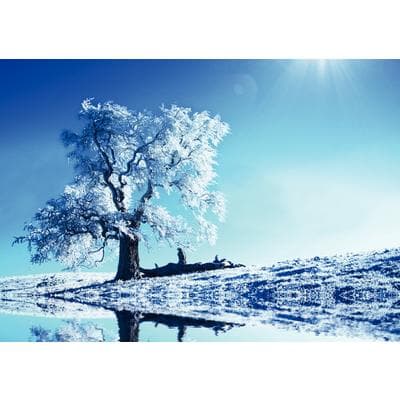 Winter Personalized Postcard, Winter Lake Design, 6" W x 4-1/4" H, Full Color, 100/Pkg - Winter Personalized Postcard, 100/Pkg - Winter Lake, 6" W x 4-1/4" H - Image 1