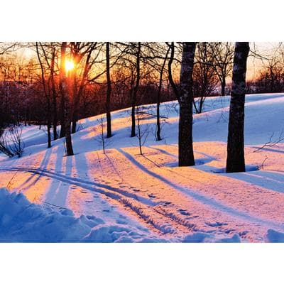 Seasonal Scenes Personalized Postcard Assortment Pack, Winter Scenes, 6" W x 4-1/4" H, 1,000/Pkg - Seasonal Scenes Personalized Postcard Assortment Packs, 1,000/Pkg - Winter Scenes, 6" W x 4-1/4" H - Image 1