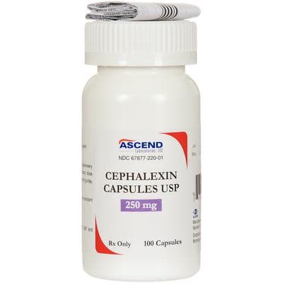 Cephalexin Capsules 250 mg, 100 Count Bottle, NDC 67877-0220-01 thumbnail 2
