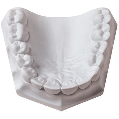 Whip Mix Mounting Plaster, Pre-weighed 100g Envelopes, Fast Set, White, 100/Pack, #15550 thumbnail 8