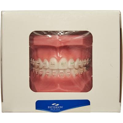 Patterson® Typodont, .022 Slot, With Ceramic Brackets - Patterson® Typodont, .022 - With Ceramic Brackets - Image 1