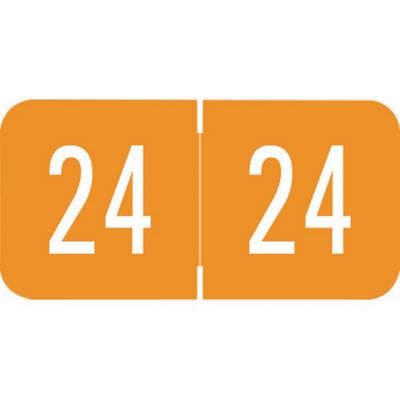 2024 Yearly Aging Labels, GBS/VRE Compatible, Orange/White, 1-1/2" x 3/4", 500/Roll - 2024 Yearly Aging Labels - GBS/VRE Compatible - Orange/White, 500/Roll - Image 1