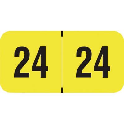 2024 Yearly Aging Labels, Fluorescent Series, Fluorescent Yellow, 1-1/2" W x 3/4" H, 500/Roll - 2024 Yearly Aging Labels - Fluorescent Series - Fl. Yellow, 500/Roll - Image 1