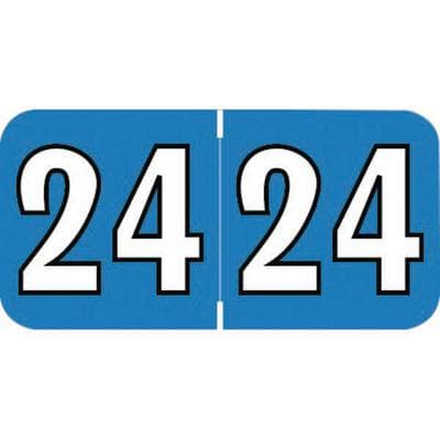 2024 Yearly Aging Labels, Jewel Tone/Jewel Tone II, End-Tab, Blue/White, 1-1/2" x 3/4", 500/Roll - 2024 Yearly Aging Labels - Jewel Tone/Jewel Tone II - End-Tab, Blue/White, 500/Roll - Image 1