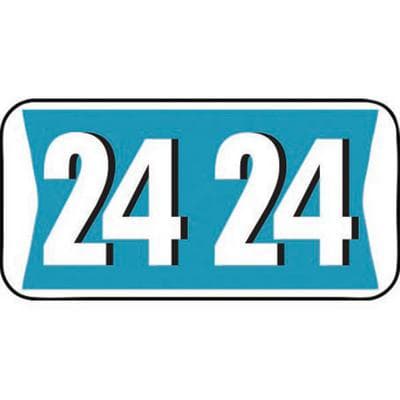 2024 Yearly Aging Labels, Jewel Tone/Jewel Tone II, Teal/White, 1-1/2" x 3/4", 500/Roll - 2024 Yearly Aging Labels - Jewel Tone/Jewel Tone II - Teal/White, 500/Roll - Image 1