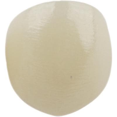 Kids-e-Crown® Zirconia Crowns, Lower Canine - LC5, Size 5, 1/Pkg - Kids-e-Crown® Zirconia Crowns, Lower Canine - LC5 - Image 1
