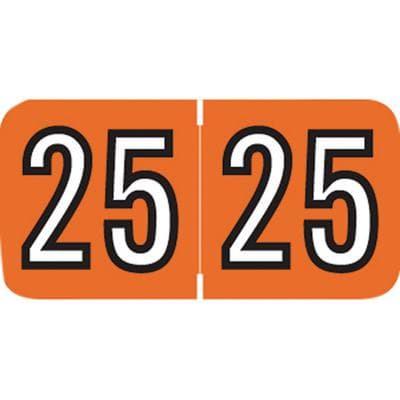 2025 Yearly Aging Labels, Amerifile Compatible, Orange/White, 1-1/2" x 3/4", 500/Roll - 2025 Yearly Aging Labels - Amerifile Compatible - 500/Roll - Orange/White, 500/Roll - Image 1