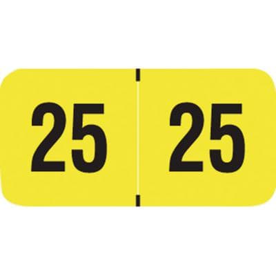 2025 Yearly Aging Labels, Fluorescent Series, Fluorescent Yellow, 1-1/2" x 3/4", 500/Roll - 2025 Yearly Aging Labels - Fluorescent Series - 500/Roll - Fluorescent Yellow, 500/Roll - Image 1